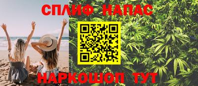 дмт Донской