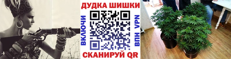 Бошки марихуана планчик  mega зеркало  Саяногорск 